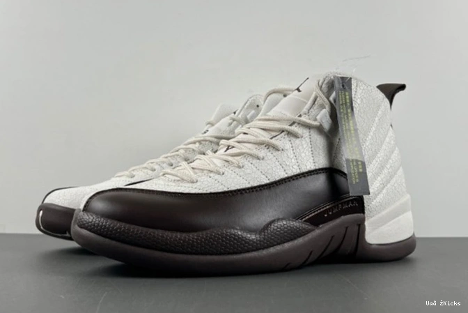 Air SoleFly 12 Jordan 9685 Functional FZ5026- 733 1119